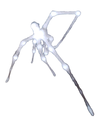 White spider 6 Blank Meme Template