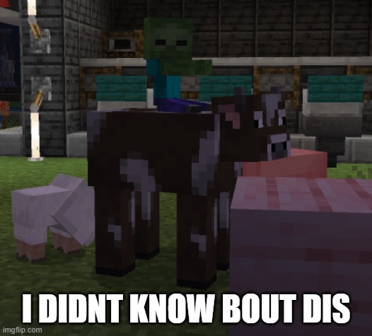 I DIDNT KNOW BOUT DIS | image tagged in minecraft | made w/ Imgflip meme maker