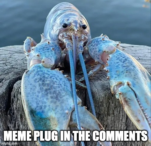 ugh | MEME PLUG IN THE COMMENTS | image tagged in the blue lobster | made w/ Imgflip meme maker