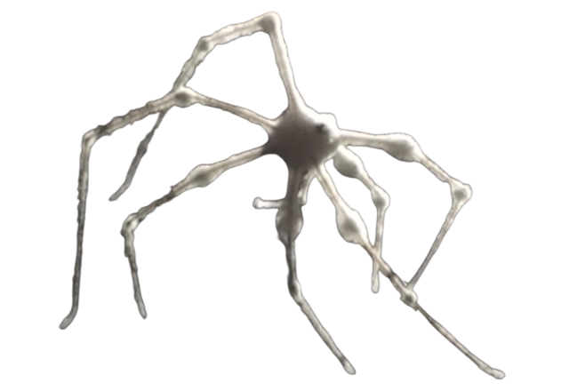 White spider 8 Blank Meme Template