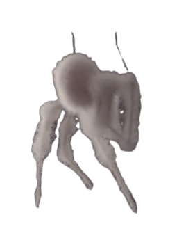 White spider 10 Blank Meme Template
