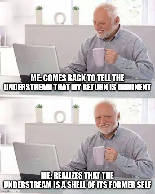 Man what did I come back to??? And where the cungadero is system???? | ME: COMES BACK TO TELL THE UNDERSTREAM THAT MY RETURN IS IMMINENT; ME: REALIZES THAT THE UNDERSTREAM IS A SHELL OF ITS FORMER SELF | image tagged in memes,hide the pain harold,oh god why | made w/ Imgflip meme maker