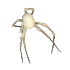 White spider 15 Meme Template