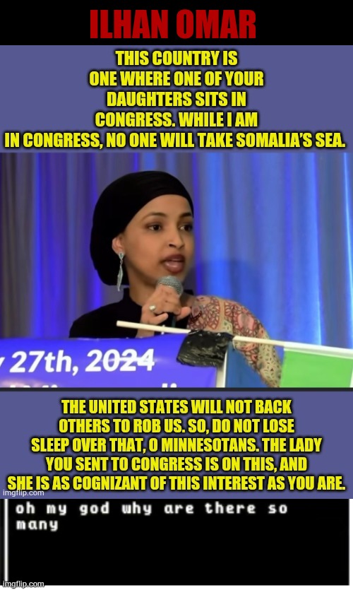 Looks Like We Have Another One | ILHAN OMAR | image tagged in tamari omg why are there so many,politicians,loyalty,none,politics,memes | made w/ Imgflip meme maker