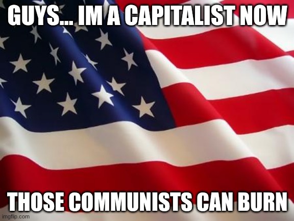OH SAY CAN YOU SEEEE BY THE DAWNS EARLY LIGHT | GUYS... IM A CAPITALIST NOW; THOSE COMMUNISTS CAN BURN | image tagged in american flag | made w/ Imgflip meme maker