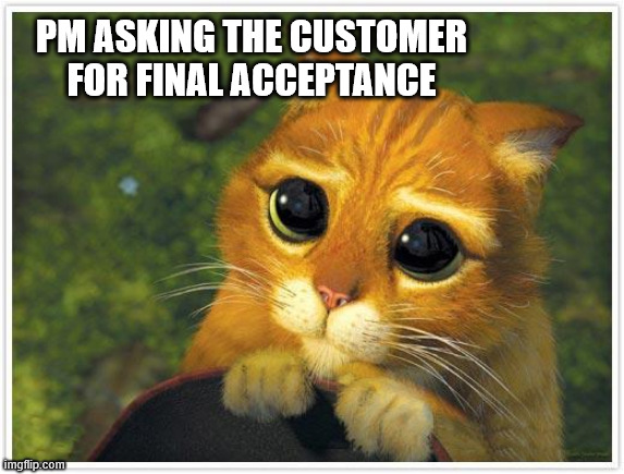 Project manager life | PM ASKING THE CUSTOMER FOR FINAL ACCEPTANCE | image tagged in memes,shrek cat,project manager,final acceptance | made w/ Imgflip meme maker