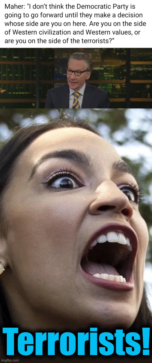 Their obvious choice | Terrorists! | image tagged in aoc,bill maher,democrats,memes,terrorists,trump derangement syndrome | made w/ Imgflip meme maker