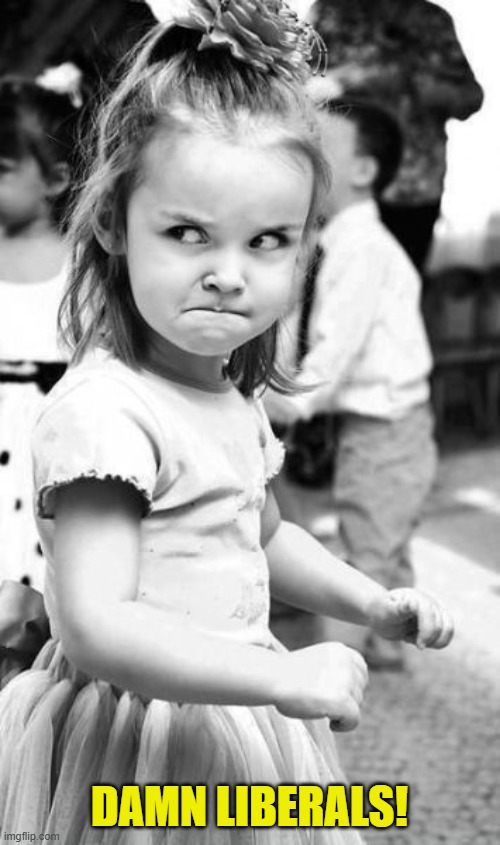 Angry Toddler Meme | DAMN LIBERALS! | image tagged in memes,angry toddler | made w/ Imgflip meme maker
