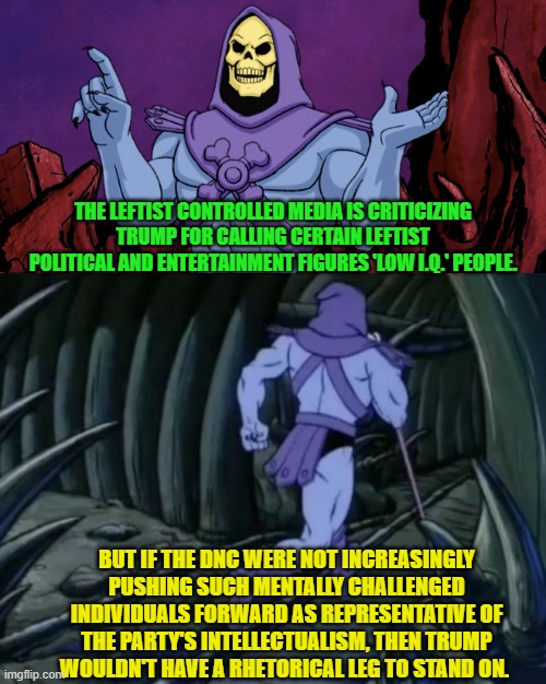Trump is simply pointing out glaringly obvious realities. | THE LEFTIST CONTROLLED MEDIA IS CRITICIZING TRUMP FOR CALLING CERTAIN LEFTIST POLITICAL AND ENTERTAINMENT FIGURES 'LOW I.Q.' PEOPLE. BUT IF THE DNC WERE NOT INCREASINGLY PUSHING SUCH MENTALLY CHALLENGED INDIVIDUALS FORWARD AS REPRESENTATIVE OF THE PARTY'S INTELLECTUALISM, THEN TRUMP WOULDN'T HAVE A RHETORICAL LEG TO STAND ON. | image tagged in skeletor until we meet again | made w/ Imgflip meme maker