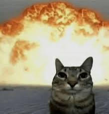 Exploding kittens Blank Meme Template