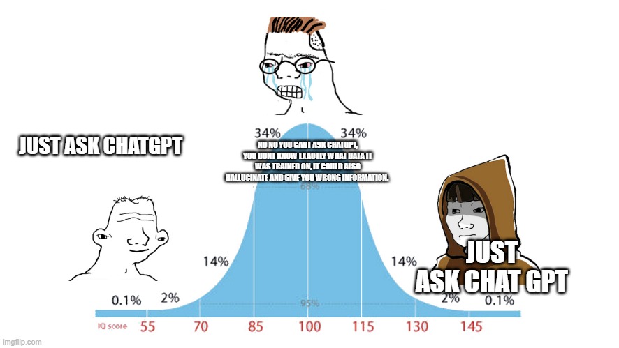 Midwit memes | NO NO YOU CANT ASK CHATGPT, YOU DONT KNOW EXACTLY WHAT DATA IT WAS TRAINED ON, IT COULD ALSO HALLUCINATE AND GIVE YOU WRONG INFORMATION. JUST ASK CHATGPT; JUST ASK CHAT GPT | image tagged in midwit memes | made w/ Imgflip meme maker