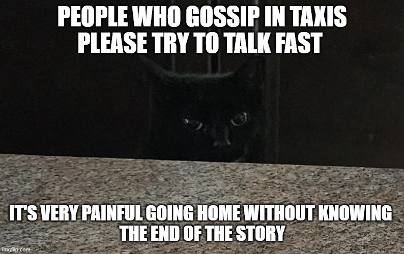 Cat Peeking | PEOPLE WHO GOSSIP IN TAXIS
PLEASE TRY TO TALK FAST; IT'S VERY PAINFUL GOING HOME WITHOUT KNOWING 
THE END OF THE STORY | image tagged in cat peeking | made w/ Imgflip meme maker