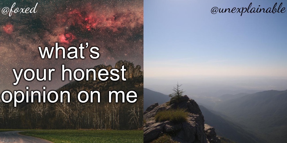 The fox is unexplainable. | what’s your honest opinion on me | image tagged in the fox is unexplainable | made w/ Imgflip meme maker