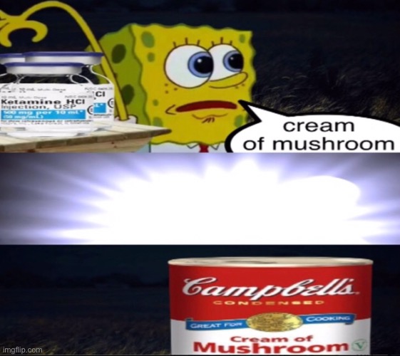 cream of mushroom | image tagged in cream of mushroom | made w/ Imgflip meme maker