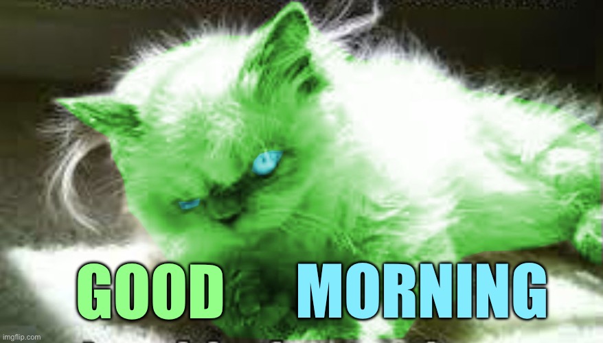 mad raycat | GOOD; MORNING | image tagged in mad raycat | made w/ Imgflip meme maker
