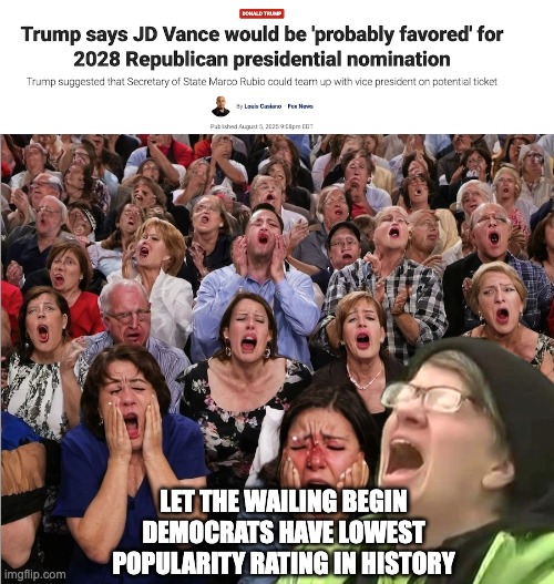 Vance-Rubio 2028! The next car in the Trump Train. | LET THE WAILING BEGIN
DEMOCRATS HAVE LOWEST POPULARITY RATING IN HISTORY | image tagged in democrats,low p,failures | made w/ Imgflip meme maker