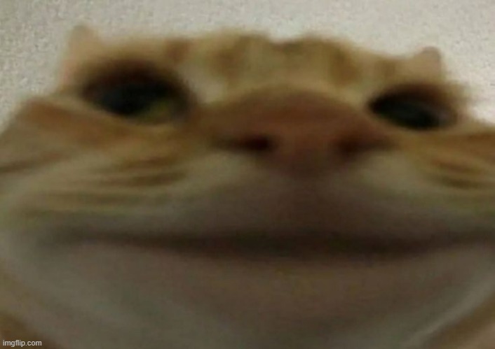 Crickets please | made w/ Imgflip meme maker