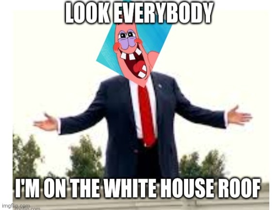 Epstein roofies | image tagged in donald trump,dumb donald,roofie in chief,epstein would approve,maga man love,cult manipulation | made w/ Imgflip meme maker