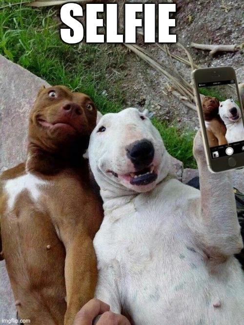 Selfie | SELFIE | image tagged in chrisjoines1 | made w/ Imgflip meme maker