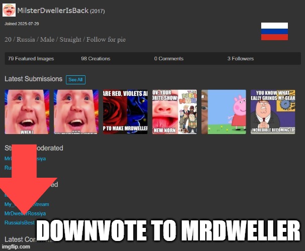 Downvote Mrdweller | DOWNVOTE TO MRDWELLER | image tagged in mrdweller on imgflip profile | made w/ Imgflip meme maker