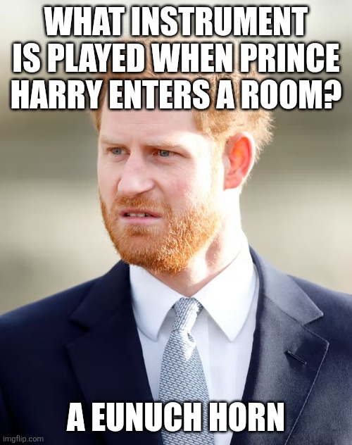 prince harry todger | WHAT INSTRUMENT IS PLAYED WHEN PRINCE HARRY ENTERS A ROOM? A EUNUCH HORN | image tagged in prince harry todger | made w/ Imgflip meme maker