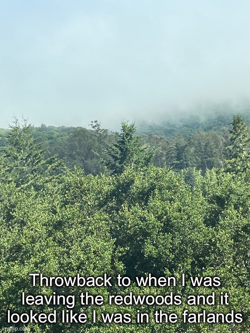 Throwback to when I was leaving the redwoods and it looked like I was in the farlands | made w/ Imgflip meme maker