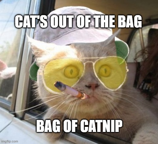 Cats out of the bag | CAT'S OUT OF THE BAG; BAG OF CATNIP | image tagged in memes,fear and loathing cat,anxiety cat,funny cat memes,catnip,dank memes | made w/ Imgflip meme maker