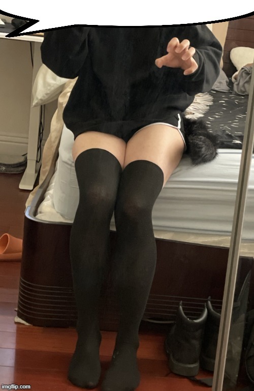 femboy speechbubble | image tagged in femboy speechbubble | made w/ Imgflip meme maker