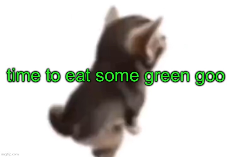 Side el gatito | time to eat some green goo | image tagged in side el gatito | made w/ Imgflip meme maker