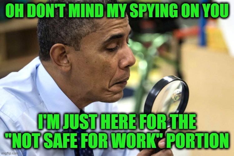 OH DON'T MIND MY SPYING ON YOU I'M JUST HERE FOR THE "NOT SAFE FOR WORK" PORTION | made w/ Imgflip meme maker