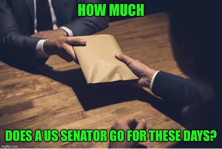 HOW MUCH; DOES A US SENATOR GO FOR THESE DAYS? | made w/ Imgflip meme maker