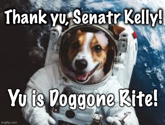 Dog Astr'n't, Thank Kelly | Thank yu, Senatr Kelly! Yu is Doggone Rite! | image tagged in thank yu senator,dog thank kelly | made w/ Imgflip meme maker