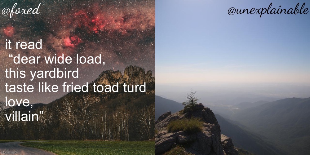 The fox is unexplainable. | it read
 “dear wide load, 
this yardbird taste like fried toad turd 
love, 
villain” | image tagged in the fox is unexplainable | made w/ Imgflip meme maker