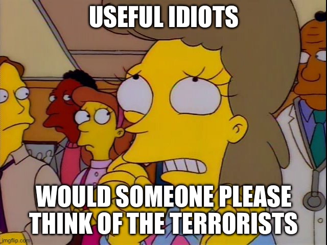 Would someone please think of the terrorists | USEFUL IDIOTS; WOULD SOMEONE PLEASE THINK OF THE TERRORISTS | image tagged in won't somebody think of the children | made w/ Imgflip meme maker