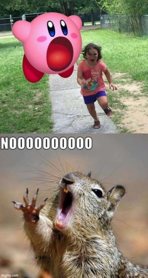 Kirby, no! | image tagged in noooooooooooooooooooooooo,kirby | made w/ Imgflip meme maker