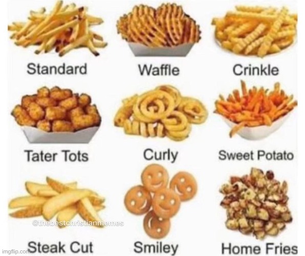 which one is the best? | image tagged in french fries | made w/ Imgflip meme maker