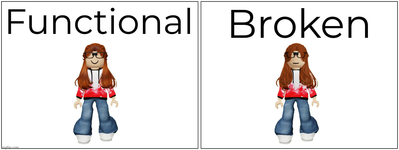 Blank Comic Panel 2x1 Meme | Functional Broken | image tagged in memes,blank comic panel 2x1 | made w/ Imgflip meme maker
