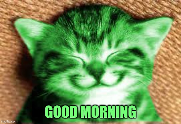 happy RayCat | GOOD MORNING | image tagged in happy raycat | made w/ Imgflip meme maker