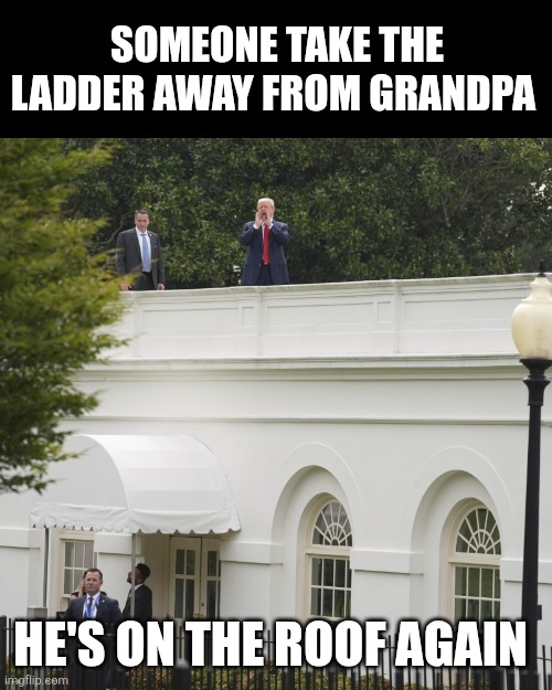 Roof Trump | SOMEONE TAKE THE LADDER AWAY FROM GRANDPA; HE'S ON THE ROOF AGAIN | image tagged in roof trump | made w/ Imgflip meme maker
