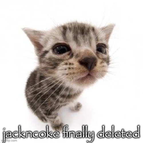 he was a jerk, glad he’s not on imgflip anymore | jackncoke finally deleted | image tagged in el gatito | made w/ Imgflip meme maker