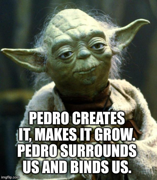 Star Wars Yoda Meme | PEDRO CREATES IT, MAKES IT GROW.
PEDRO SURROUNDS US AND BINDS US. | image tagged in memes,star wars yoda | made w/ Imgflip meme maker