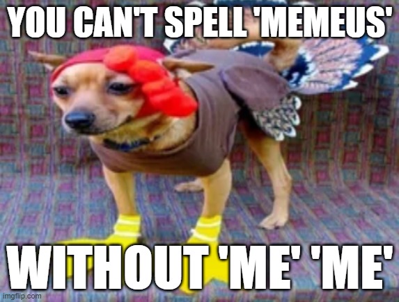 Turkey dog | YOU CAN'T SPELL 'MEMEUS'; WITHOUT 'ME' 'ME' | image tagged in turkey dog | made w/ Imgflip meme maker