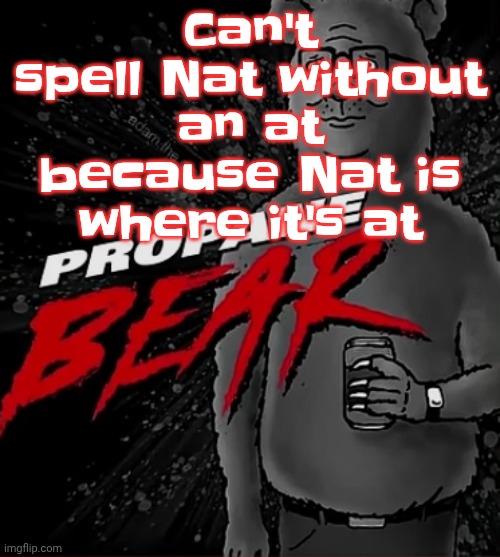 Idk | Can't spell Nat without an at because Nat is where it's at | image tagged in propane bear | made w/ Imgflip meme maker