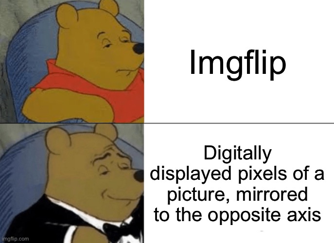Tuxedo Winnie The Pooh | Imgflip; Digitally displayed pixels of a picture, mirrored to the opposite axis | image tagged in memes,tuxedo winnie the pooh | made w/ Imgflip meme maker