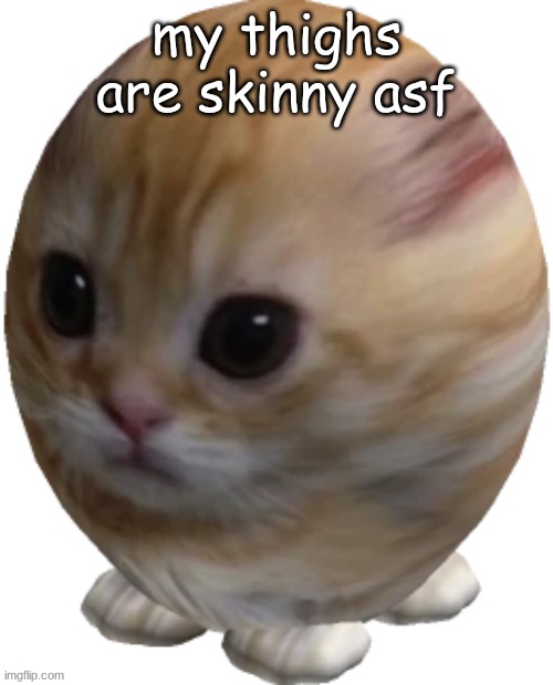 chicken leg ahh | my thighs are skinny asf | image tagged in egg gatito | made w/ Imgflip meme maker