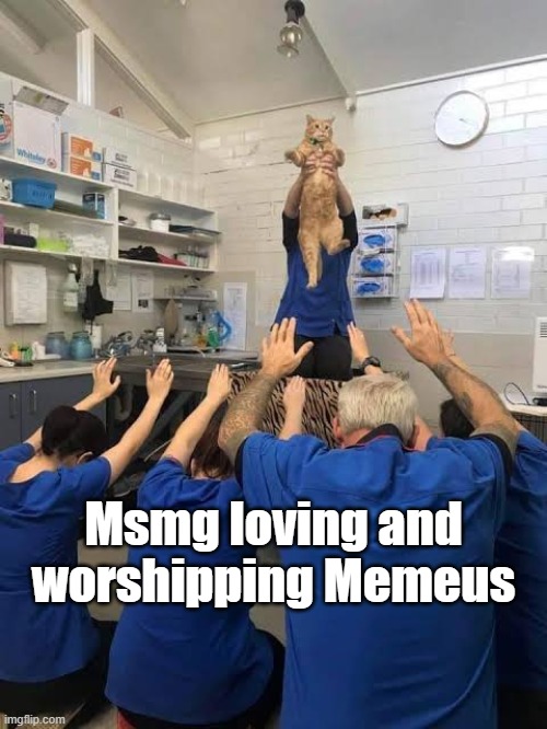 People Worshipping The Cat | Msmg loving and worshipping Memeus | image tagged in people worshipping the cat | made w/ Imgflip meme maker