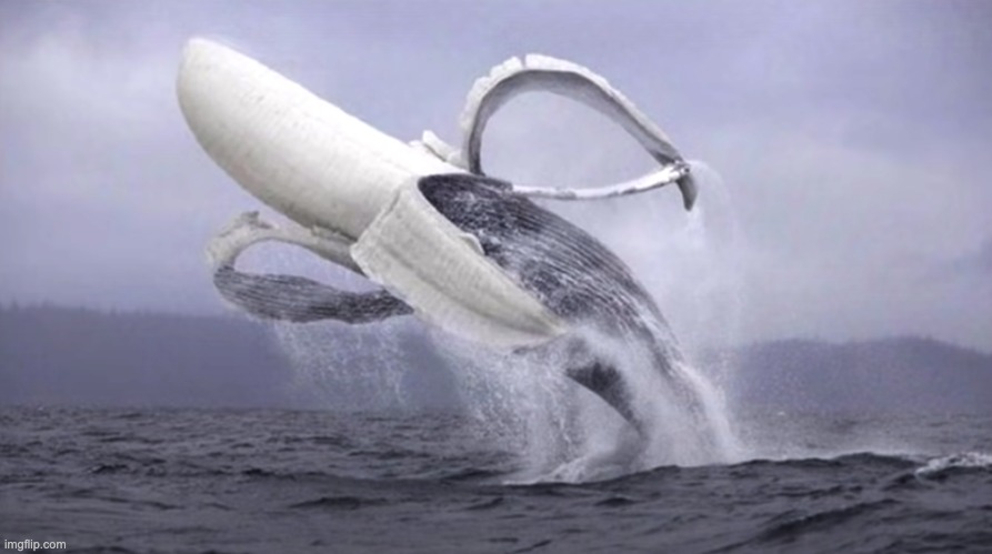 image tagged in banana whale | made w/ Imgflip meme maker