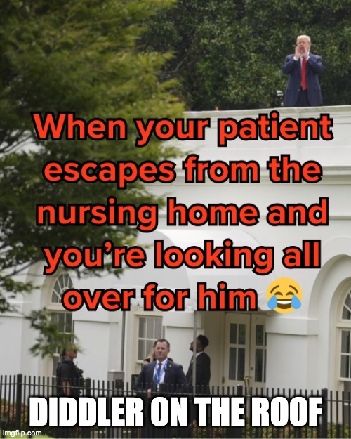 Diddler On The Roof | DIDDLER ON THE ROOF | image tagged in diddler on the roof | made w/ Imgflip meme maker