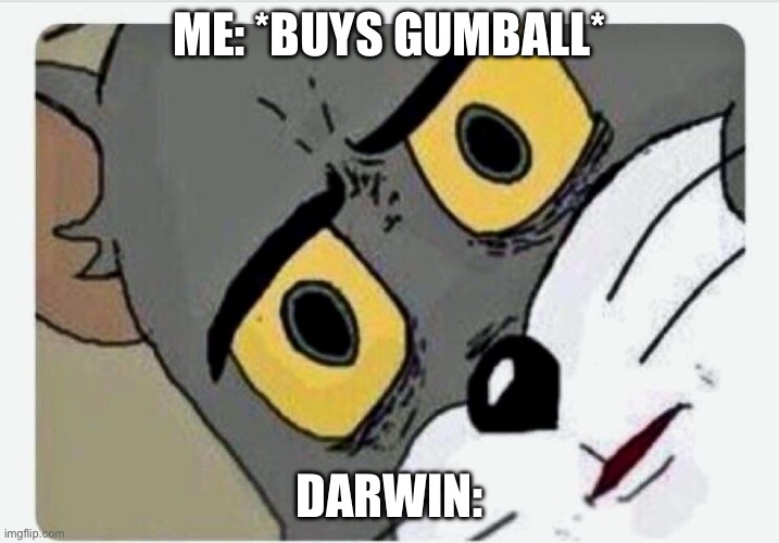 not nice | ME: *BUYS GUMBALL*; DARWIN: | image tagged in disturbed tom | made w/ Imgflip meme maker