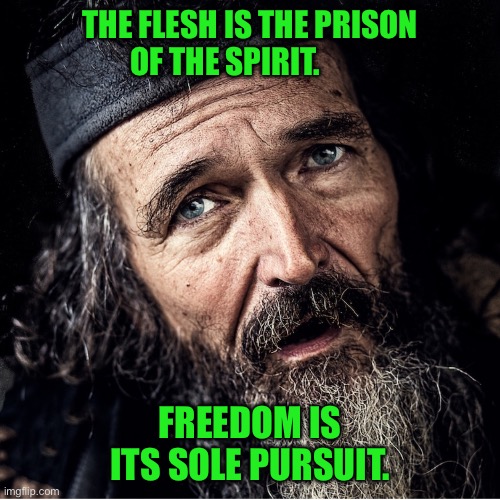 Streetwise poet | THE FLESH IS THE PRISON OF THE SPIRIT. FREEDOM IS ITS SOLE PURSUIT. | image tagged in homeless cardboard | made w/ Imgflip meme maker